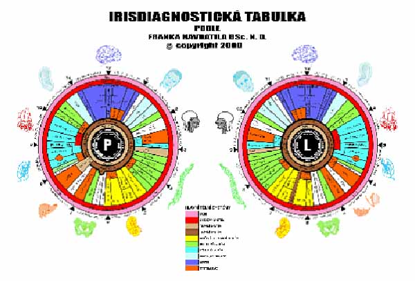 Iridology Chart